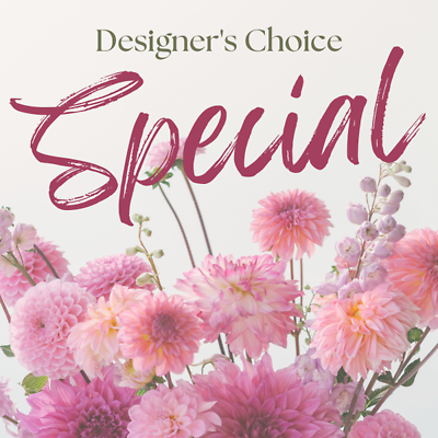 Designers Choice